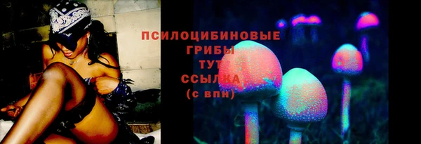 МДПВ Сосновоборск
