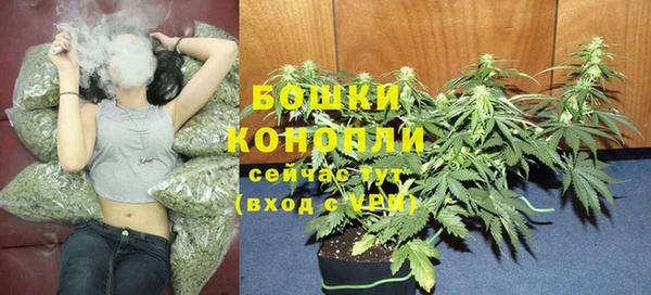 МДПВ Сосновоборск