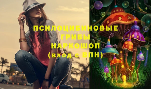 МДПВ Сосновоборск