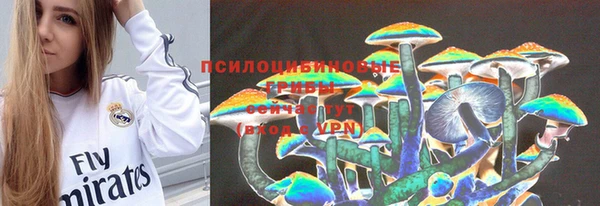 МДПВ Сосновоборск