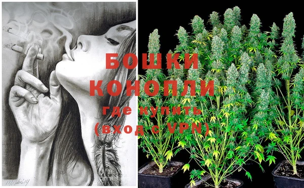 стафф Сосновка