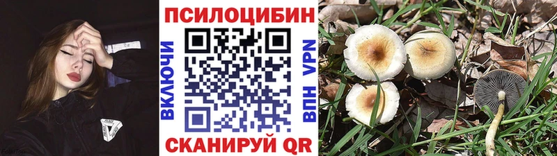 купить наркоту  Омск  Псилоцибиновые грибы прущие грибы 