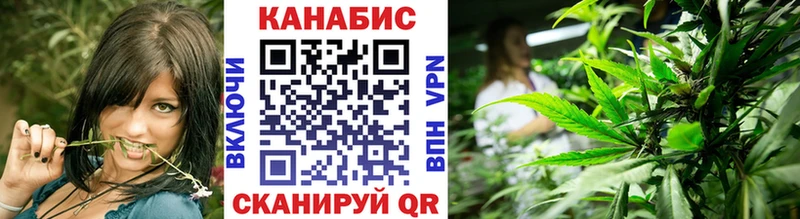 где найти наркотики Омск ссылка на мегу ТОР Конопля White Widow